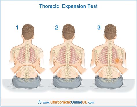 thoracic compression test|assessing thoracic expansion.